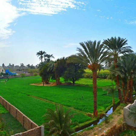 Farida Apartments Luxor Eksteriør bilde