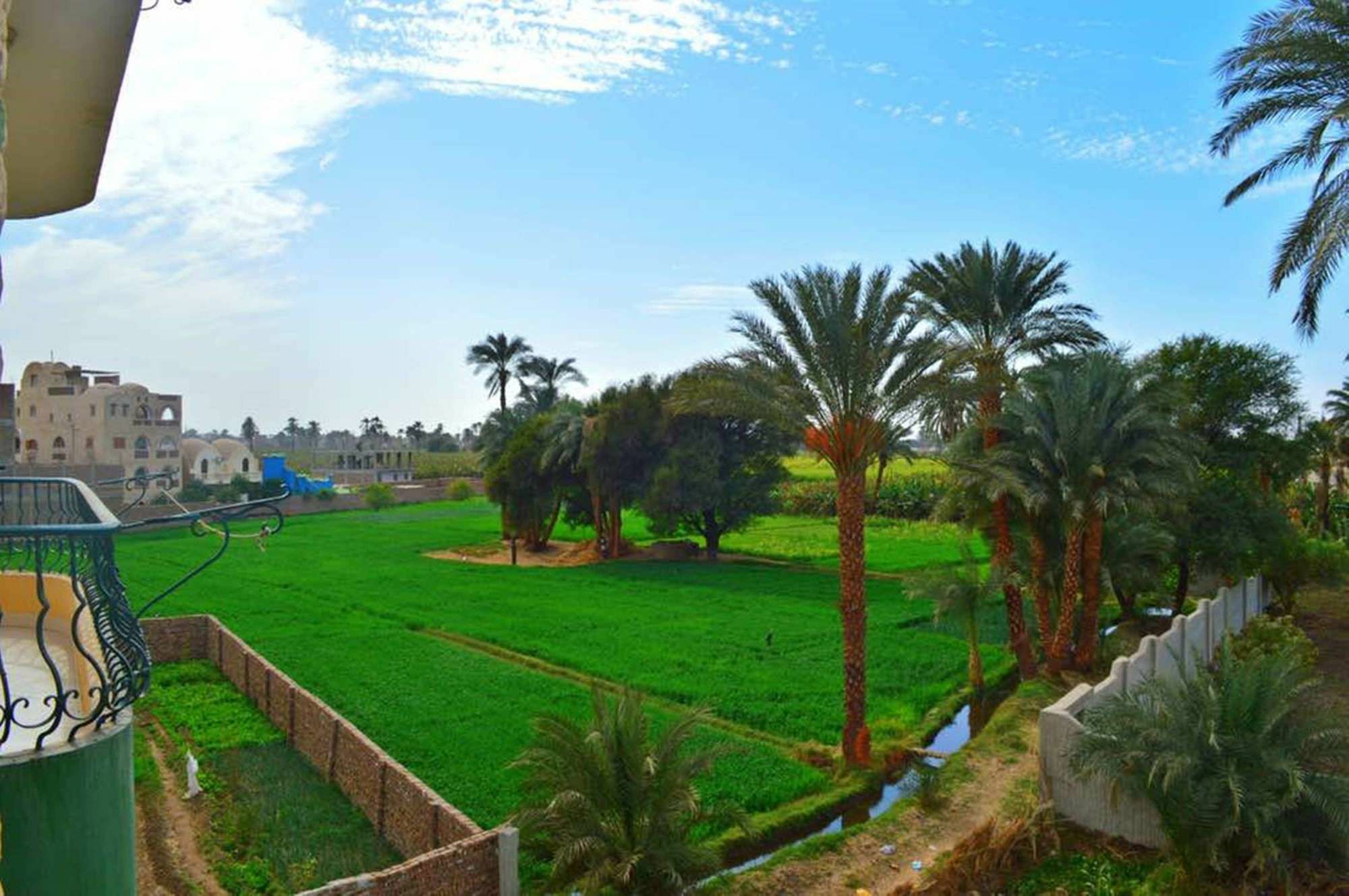 Farida Apartments Luxor Eksteriør bilde