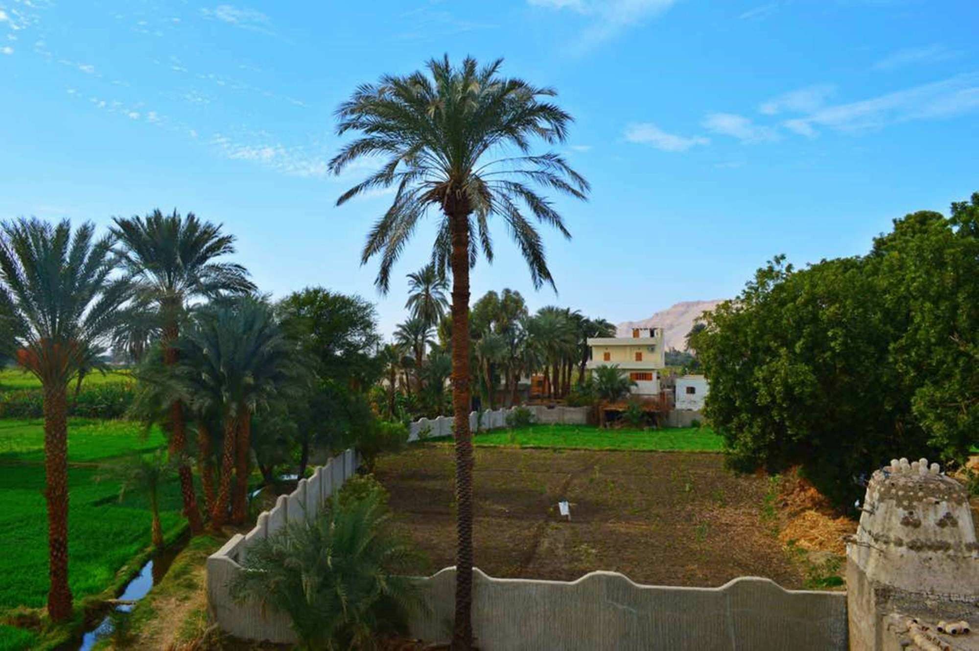 Farida Apartments Luxor Eksteriør bilde