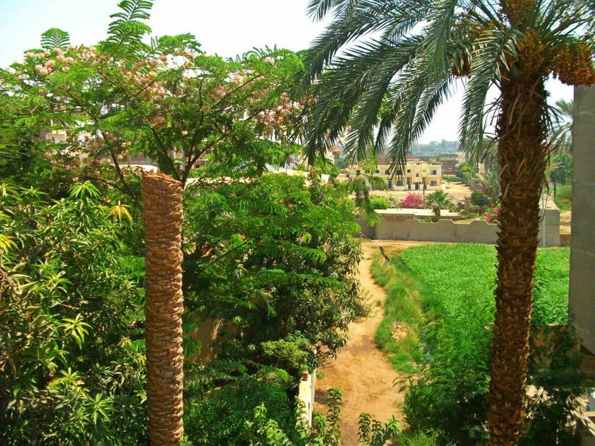 Farida Apartments Luxor Eksteriør bilde