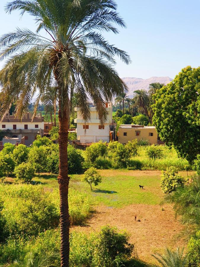Farida Apartments Luxor Eksteriør bilde