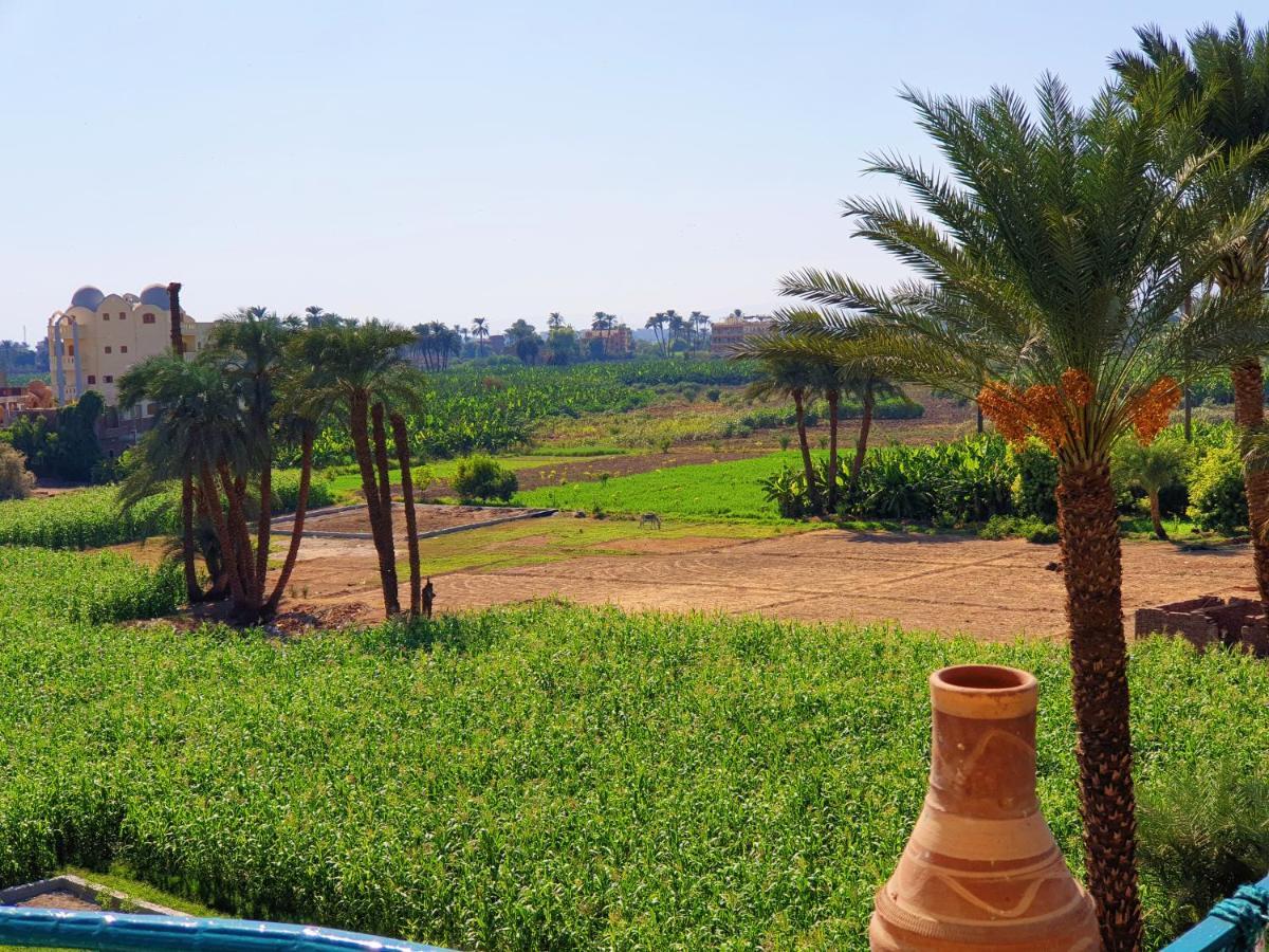 Farida Apartments Luxor Eksteriør bilde