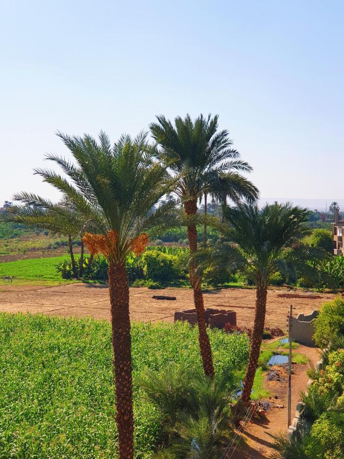Farida Apartments Luxor Eksteriør bilde
